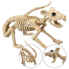 Rotte Skjelett Dekorasjon