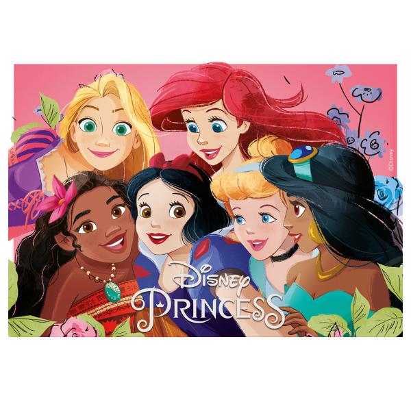 Kakebilde Disney Prinsesser Firkantet