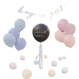 Gender Reveal Sett Hello Baby