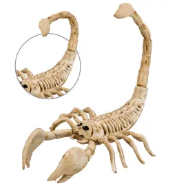 Skorpion Skjelett Prop