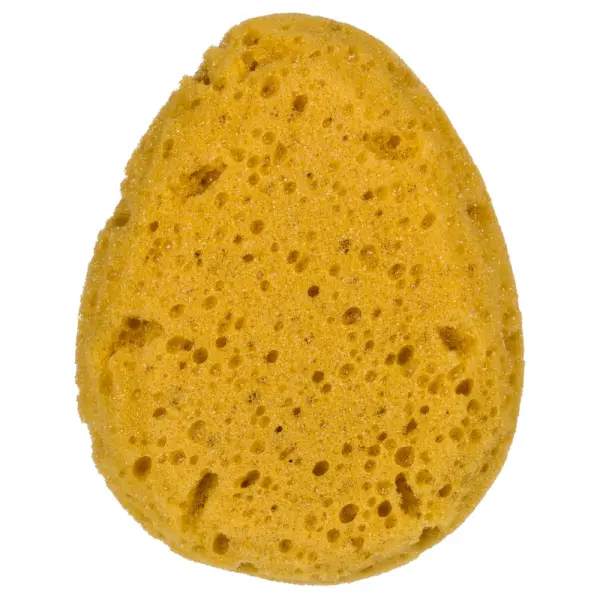 Badesvamp