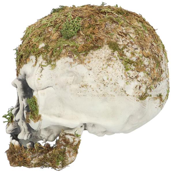 Hodeskalle med Mose Dekorasjon 19 cm