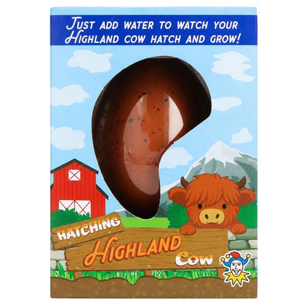 Egg med Voksende Highland Ku Brun 6,5 cm