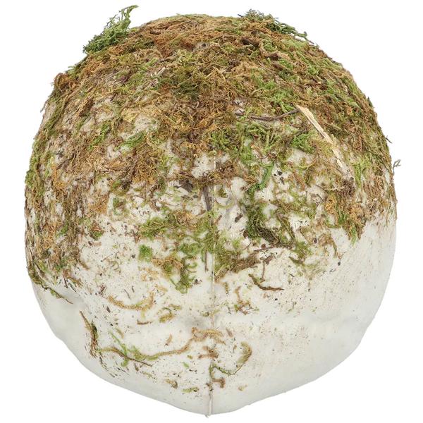 Hodeskalle med Mose Dekorasjon 19 cm