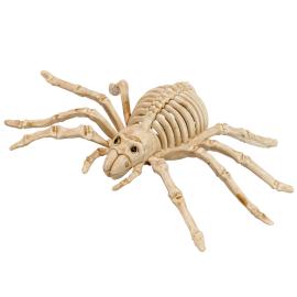Edderkopp Skjelett Dekorasjon