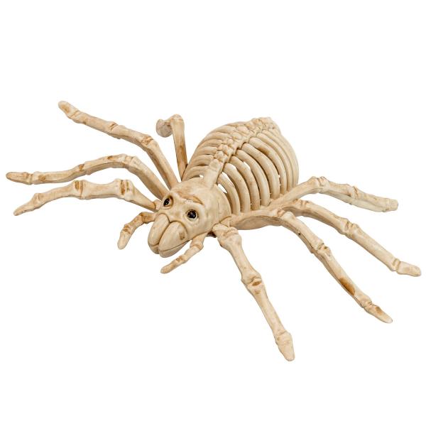Edderkopp Skjelett Dekorasjon
