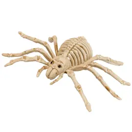 Edderkopp Skjelett Dekorasjon