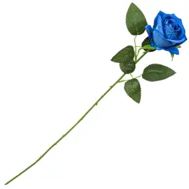 Bl&aring; Rose 52 cm