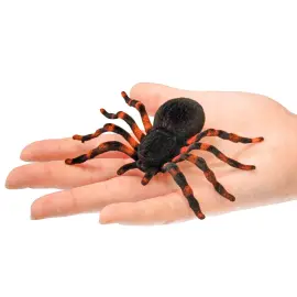 Taranteller 4-pakning