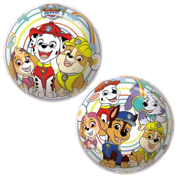 Liten Paw Patrol Ball