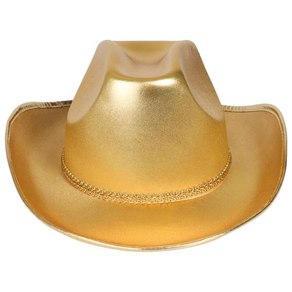Cowboyhatt Gull