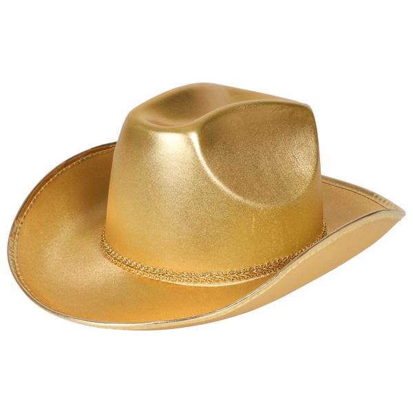 Cowboyhatt Gull