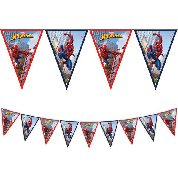 Flaggirlander Spiderman Crime Fighter