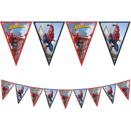 Flaggirlander Spiderman Crime Fighter