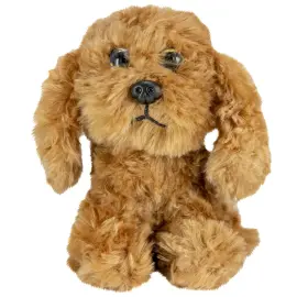 Kosedyr Cocker Spaniel Hund