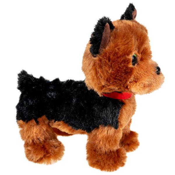Kosedyr Yorkshireterrier Hund