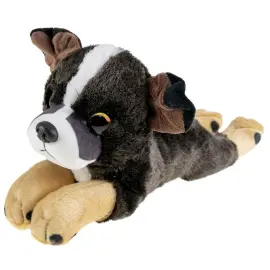 Kosedyr Staffordshire Bullterrier Hund