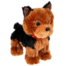 Kosedyr Yorkshireterrier Hund