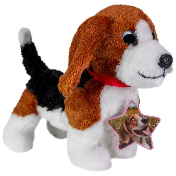 Kosedyr Beagle Hund