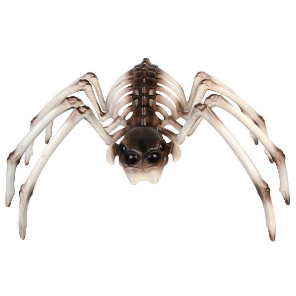 Edderkoppskjelett Dekorasjon