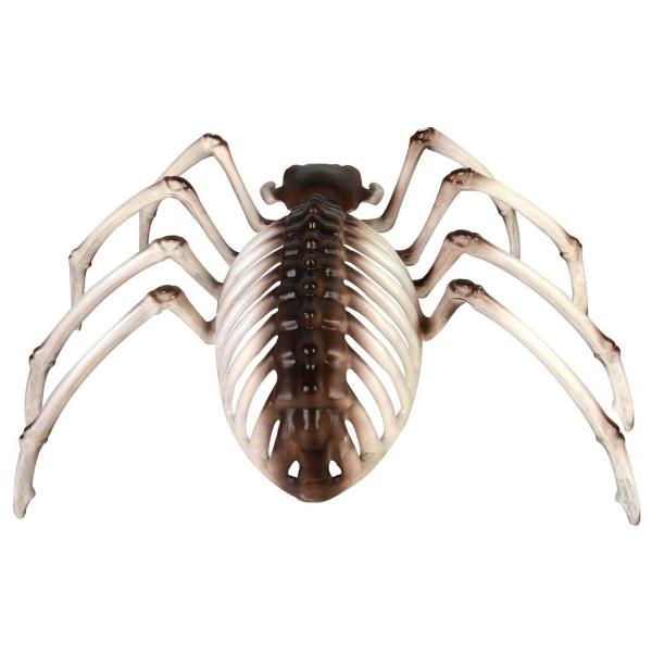 Edderkoppskjelett Dekorasjon