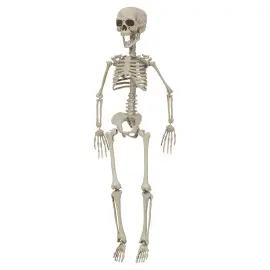 Hengende Skjelett Pynt 76 cm
