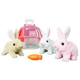 Vandrende Kanin med Gulrot & Transportkasse