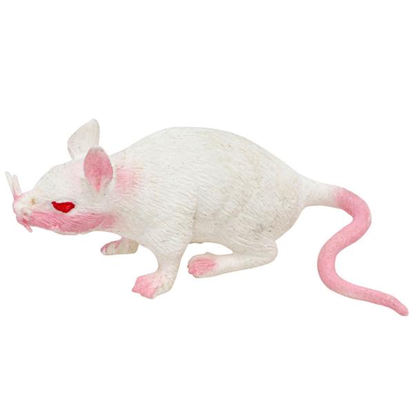 Stretchy Rotte