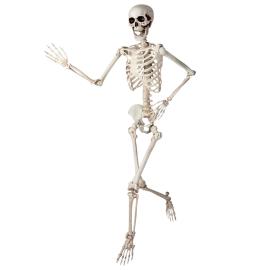 Bøyelig Skjelett Prop 150 cm