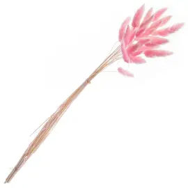 Tørkede Harehaler Rosa 25-pakning
