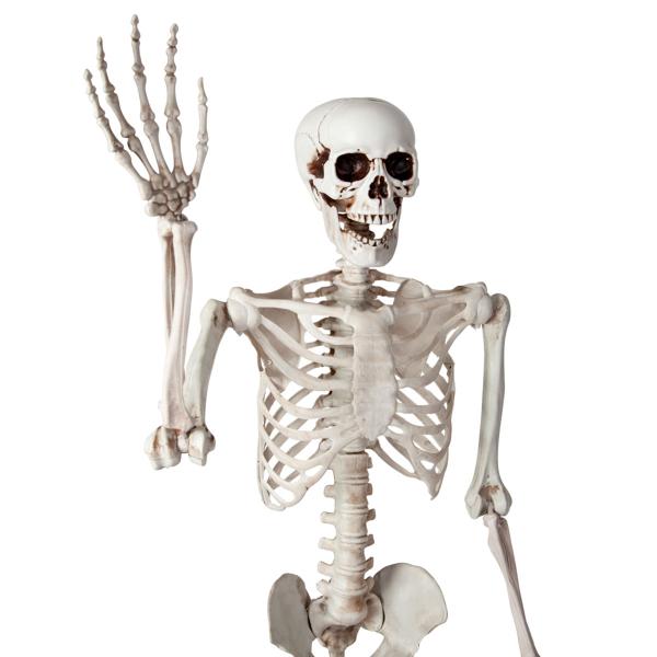 Bøyelig Skjelett Prop 150 cm