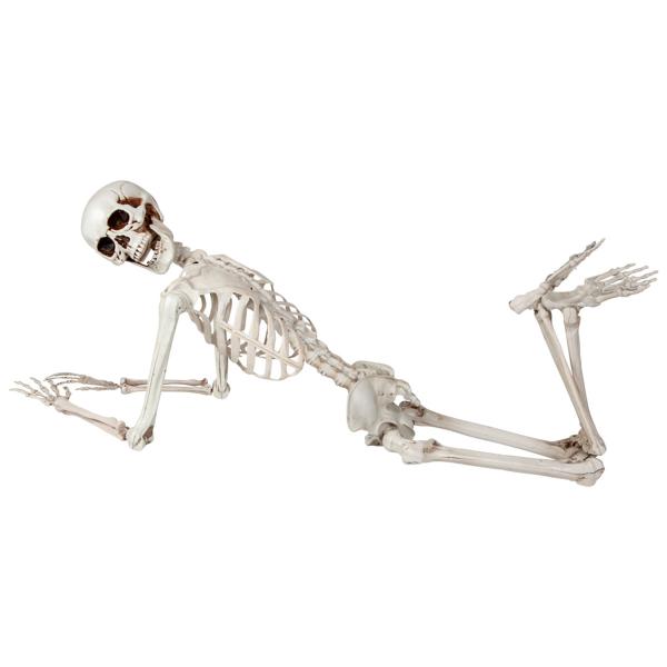 Bøyelig Skjelett Prop 150 cm