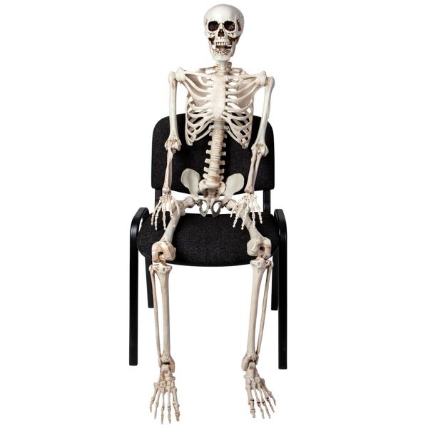Bøyelig Skjelett Prop 150 cm