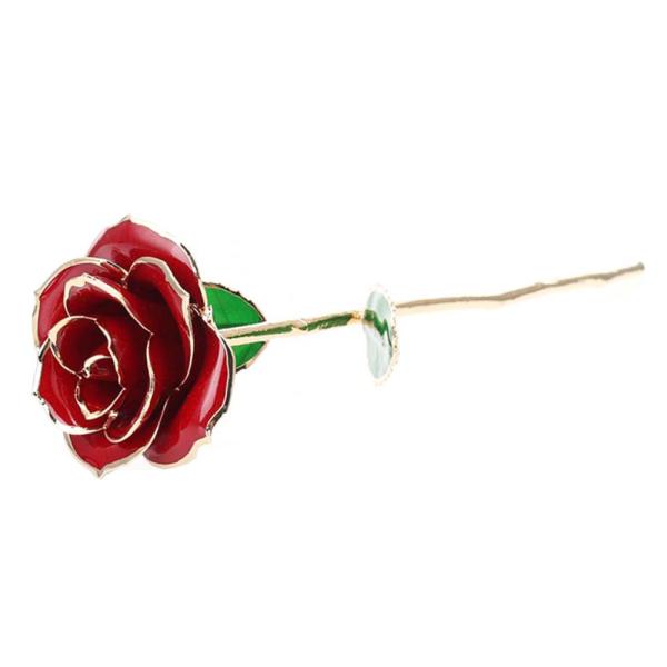 Gullbelagt Rød Rose