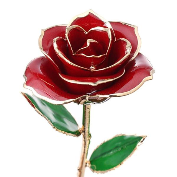 Gullbelagt Rød Rose