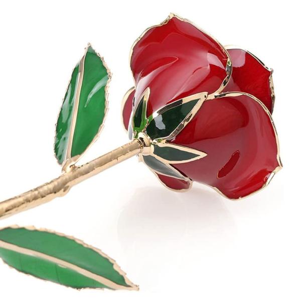 Gullbelagt Rød Rose