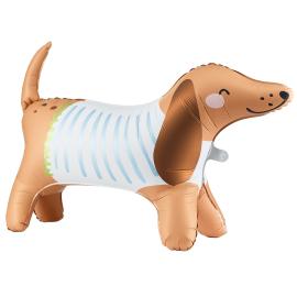 Vandrende Dachshund Folieballong & Hundekort