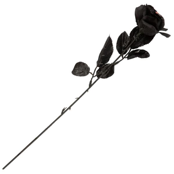 Svart Rose med Øye