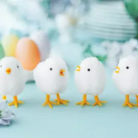 Hvite P&aring;skekyllinger