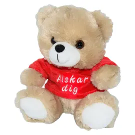 Bamse med Genser &Auml;lskar Dig