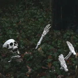 Hagedekorasjon Skjelett 5-pakning