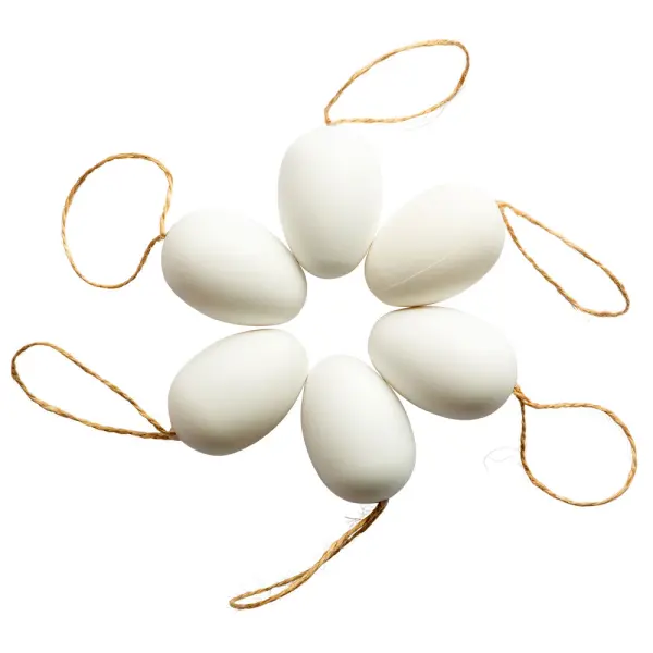 Hengende Egg Hobby Sett