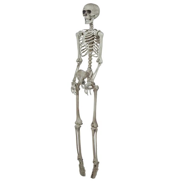 Hengende Skjelett 160 cm