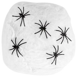 Spindelvev med Edderkopper