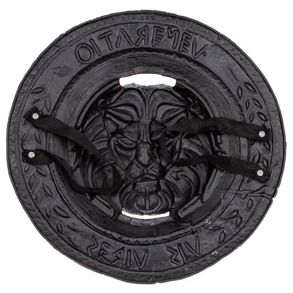 Romersk Sverd og Skjold Barn