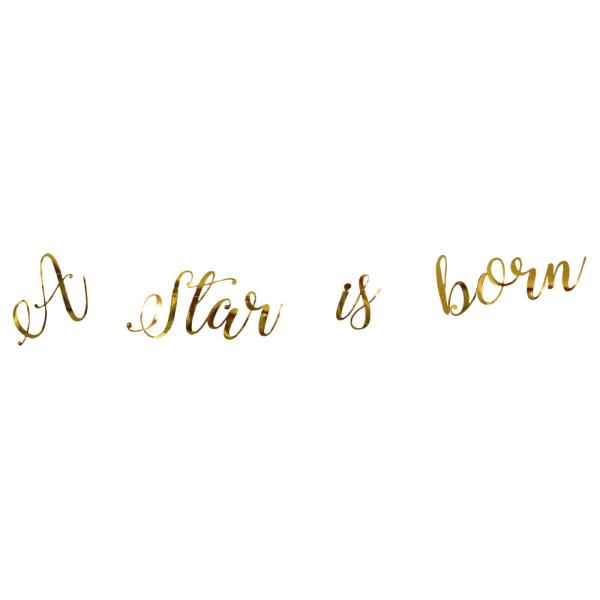 A Star Is Born Girlander Gull
