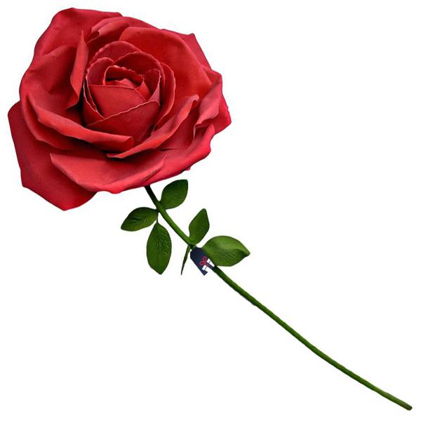 Gigantisk Rød Rose