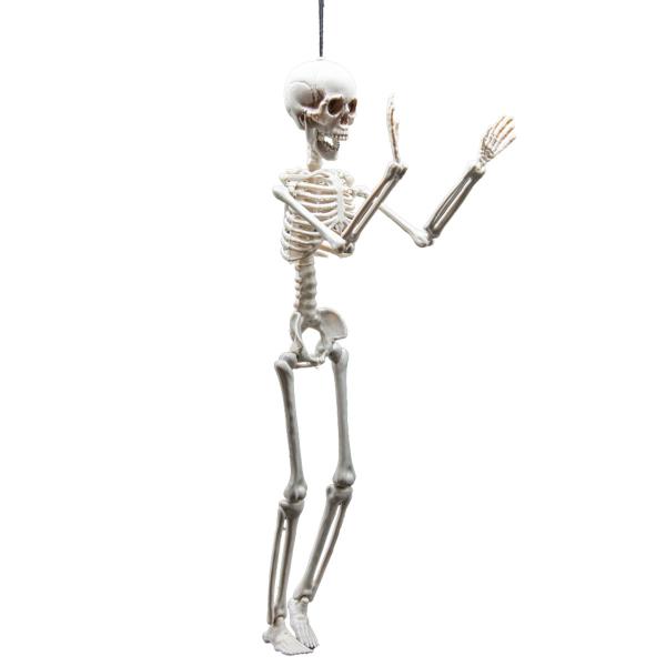 Hengende Bøybart Skjelett Prop