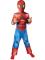 Tegneserie Spiderman Kostyme Barn