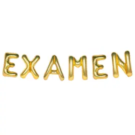 Ballonggirlander Examen Gull